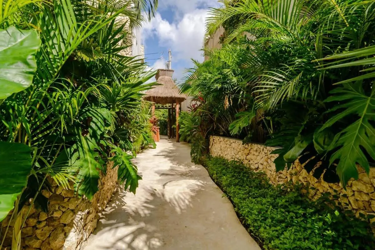1Br With Private Terrace Apartment Tulum