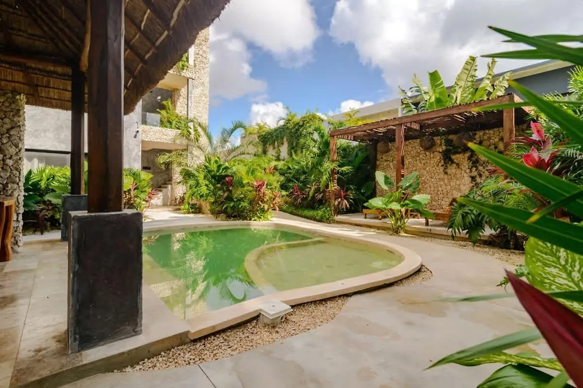 1Br With Private Terrace Apartment Tulum
