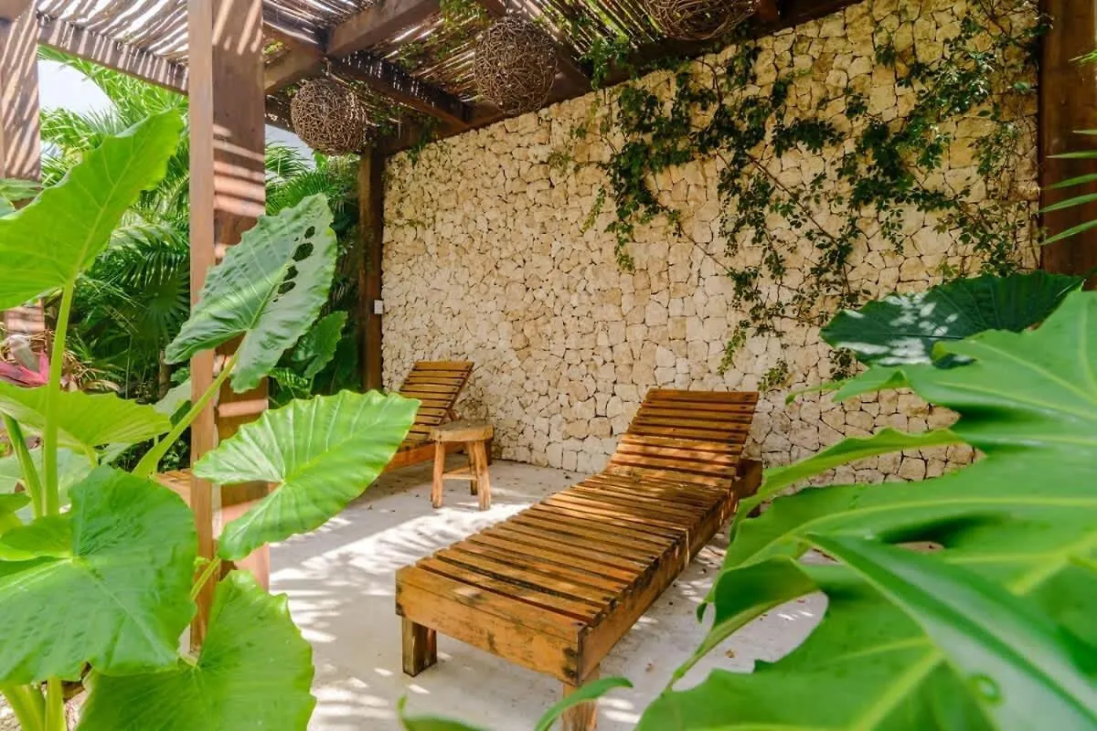 1Br With Private Terrace Apartment Tulum